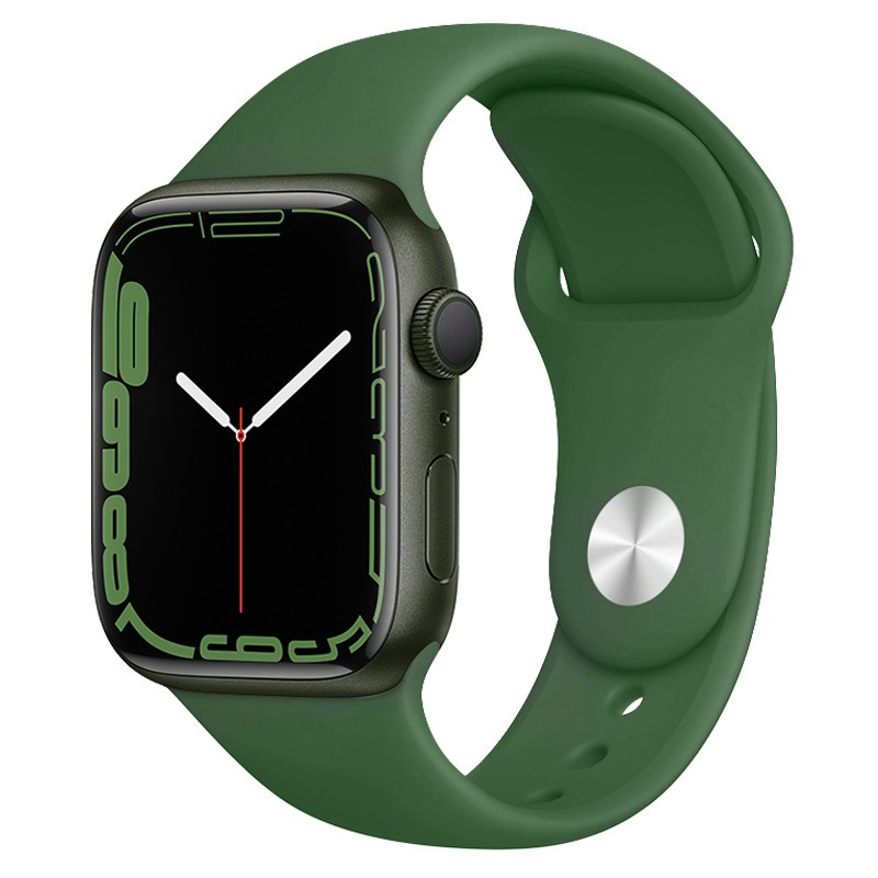 Ремешок Hoco WA01 Flexible series Apple watch (38/40/41mm) (Alfalfa)