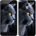 Чохол Гарний кіт на Meizu M3 Note