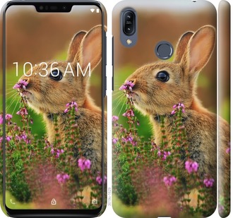 

Чохол Кролик і квіти на Asus Zenfone Max M2 ZB633KL 699663