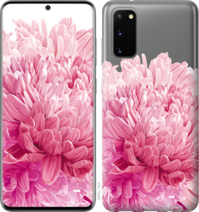 

Чохол Хризантема на Samsung Galaxy S20 879829