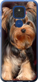 

Чехол Йоркширский терьер для Motorola E7 Plus 1634922