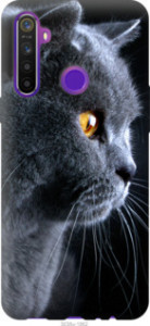 Чехол Красивый кот для Realme 6i