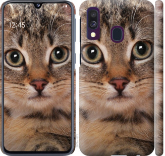 

Чохол Смугастий котик на Samsung Galaxy A40 2019 A405F 711464