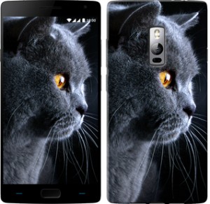 Чехол Красивый кот для OnePlus 2