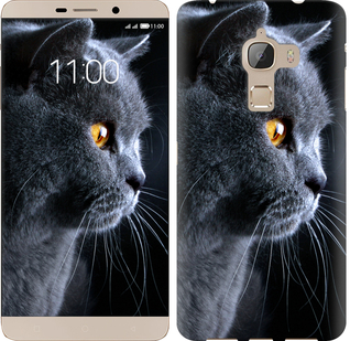 

Чохол Гарний кіт на LeTV Max X900 242680