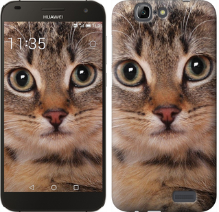 

Чохол Смугастий котик на Huawei Ascend G7 175805