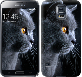 

Чехол Красивый кот для Samsung Galaxy S5 g900h 116869