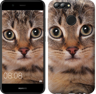 

Чехол Полосатый котик для Huawei Nova 2 655444