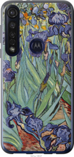 Чехол Винсент Ван Гог. Ирисы для Motorola G8 Plus
