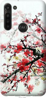 

Чохол Квітучий кущ на Motorola G8 Power 1589282