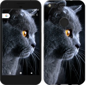 Чехол Красивый кот для Google Pixel
