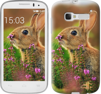 

Чехол Кролик и цветы для Alcatel One Touch Pop C5 5036D 304869