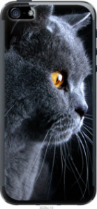 Чехол Красивый кот для iPhone SE