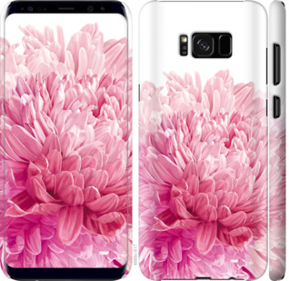 

Чехол Хризантема для Samsung Galaxy S8 Plus 844092