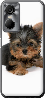 

Чохол Цуценя йоркширського тер'єра на Tecno POP 6 Pro BE8 1612253