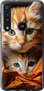 Чехол Котики 2 для Motorola One Macro