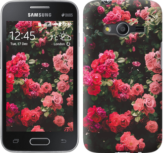 

Чохол Кущ з трояндами на Samsung Galaxy Ace 4 G313 639154