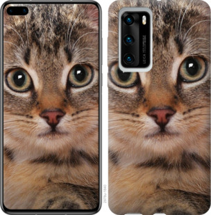 

Чохол Смугастий котик на Huawei P40 933907