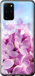 

Чохол Бузок на Samsung Galaxy S20 Plus 1013978