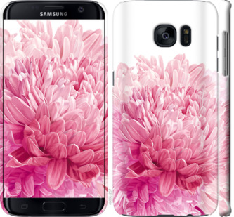 

Чохол Хризантема на Samsung Galaxy S7 Edge G935F 844094