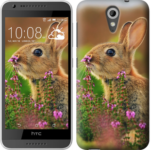 

Чохол Кролик і квіти на HTC Desire 620 149927