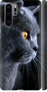 Чохол Гарний кіт на Huawei P30 Pro
