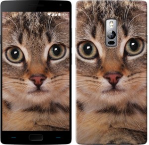 Чехол Полосатый котик для OnePlus 2