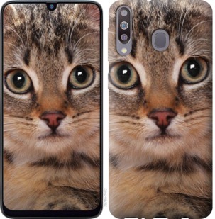 

Чохол Смугастий котик на Samsung Galaxy M30 764338