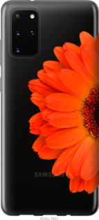 

Чехол Гербера 1 для Huawei Honor 30S 957940