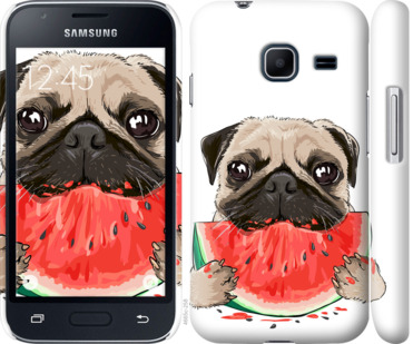

Чехол Мопс и арбуз для Samsung Galaxy J1 Mini J105H 843500