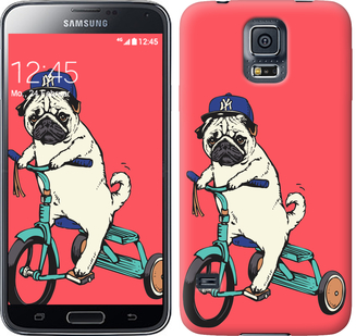 

Чехол Мопс на велосипеде для Samsung Galaxy S5 Duos SM G900FD 642768