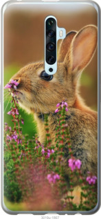 

Чехол Кролик и цветы для Oppo Reno 2Z 921815