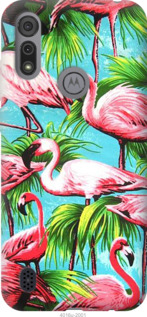 

Чехол Tropical background для Motorola E6s 1169879