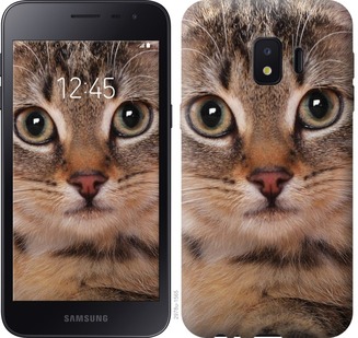

Чехол Полосатый котик для Samsung Galaxy J2 Core 675804