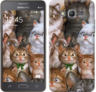 

Чохол коти на Samsung Galaxy J2 Prime 476350