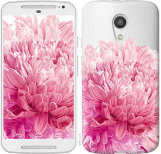 

Чохол Хризантема на Motorola Moto G2 844620
