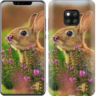 

Чехол Кролик и цветы для Huawei Mate 20 Pro 677418