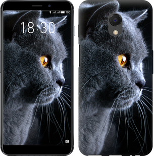

Чехол Красивый кот для Meizu M6s 626660