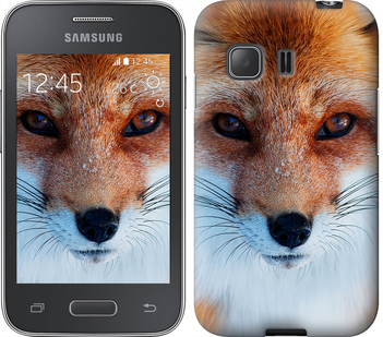 

Чехол Рыжая лисица для Samsung Galaxy Young 2 G130h 577809