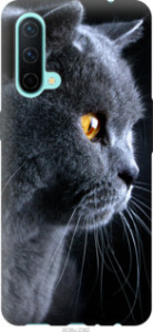 Чохол Гарний кіт на OnePlus Nord CE