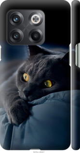 Чехол Дымчатый кот для OnePlus 10T