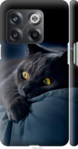 Чехол Дымчатый кот для OnePlus 10T