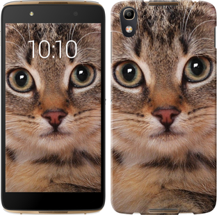 

Чехол Полосатый котик для Alcatel idol 4 175889