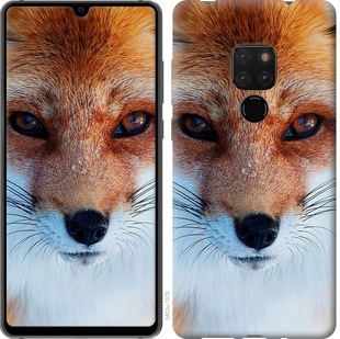 

Чохол Руда лисиця на Huawei Mate 20 672492