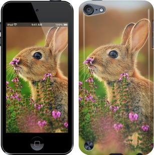 

Чехол Кролик и цветы для iPod Touch 5 149834
