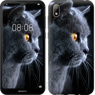 

Чехол Красивый кот для Huawei Honor 8S 740610