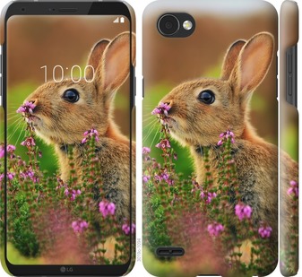 

Чехол Кролик и цветы для LG Q6a 677395