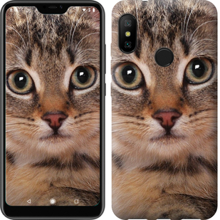 

Чохол Смугастий котик для Xiaomi Redmi 6 Pro 675823