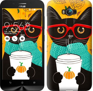 

Чехол Осенний кот для Asus ZenFone Max ZC550KL 639905