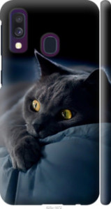 Чехол Дымчатый кот для Samsung Galaxy A40 2019 A405F